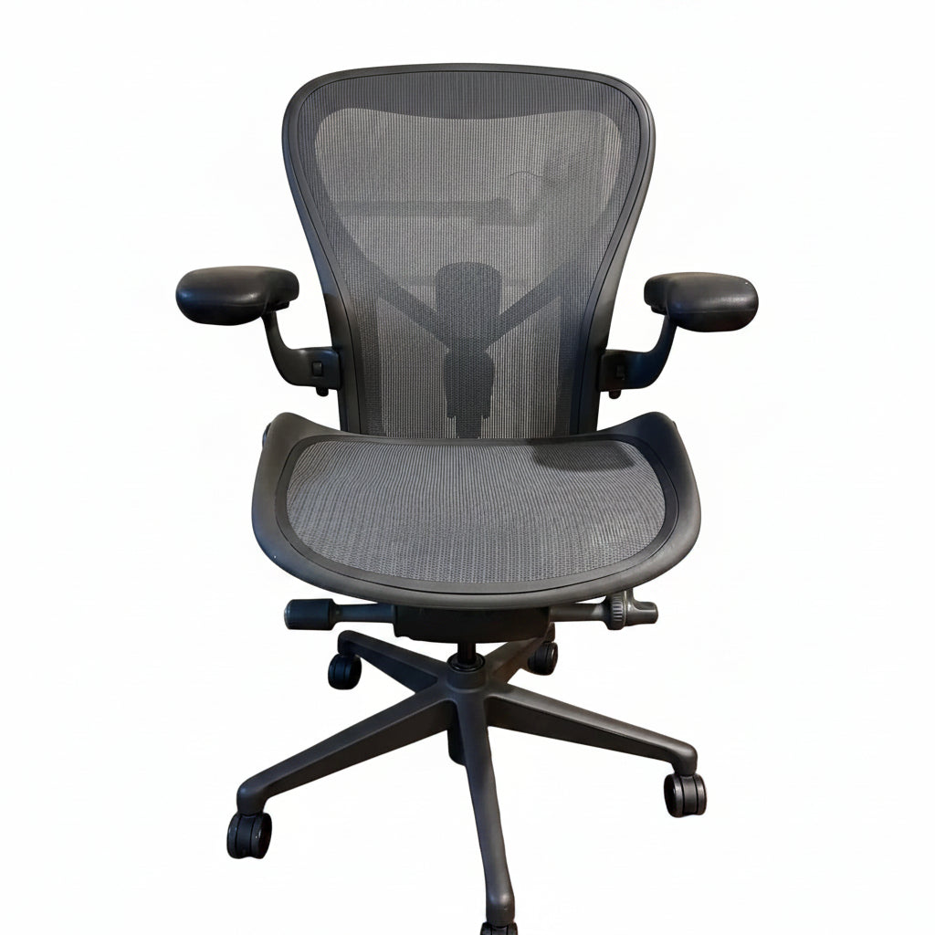 Herman Miller Aeron Remastered Size C Fully Loaded Version